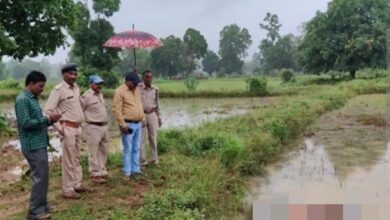 Photo of गरियाबंद ब्रेकिंग 45 वर्षीय महिला को हाथियों के दल ने कुचला