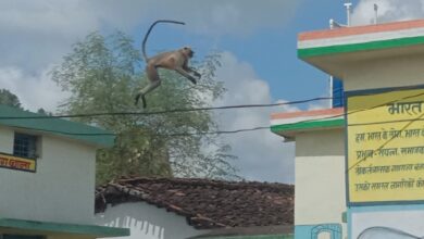 Photo of एक अपील कसेकेरा के नाम…….