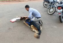 Photo of चरौदा में डकैतों की ‘नाइट शिफ्ट’! – घरवालों को बंधक बनाकर डकैती को दिया अंजाम…. पुलिस खंगाल रही सुराग”
