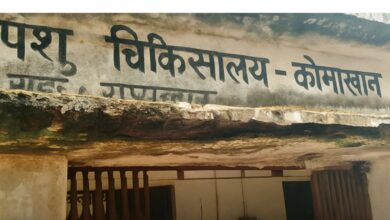 Photo of 116 गांवों की पशुसेवा पर “फाइलीय चाबुक”