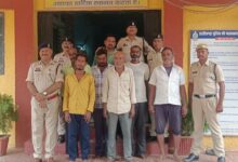 Photo of भखारा पुलिस की त्वरित कार्रवाई — गौवंश तस्करी में 7 आरोपी गिरफ्तार, 29 मवेशी सुरक्षित