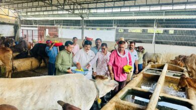 Photo of गौमाता के साथ राष्ट्र सेवा का संकल्प लेकर मोदी जी का मनाया गया जन्म दिवस माध्यम बने प्रीतेश गांधी