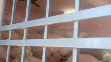 Photo of उड़ीसा का धान छत्तीसगढ़ में खपाने का बड़ा खेल! भुरकोनी के व्यापारी,  और पंचायत प्रतिनिधि की मिलीभगत से सरकारी भवन में रखा गया था अवैध धान…. सूत्र