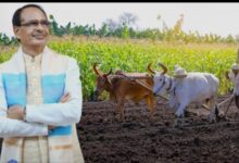 Photo of धमतरी में होगा पीएम सम्मान निधि की 21 वीं किश्त का राज्य स्तरीय मुख्य समारोह। केंद्रीय कृषि मंत्री शिवराज सिंह चौहान होंगे कार्यकम के मुख्य अतिथि।