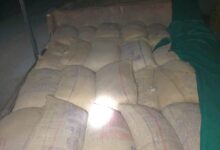 Photo of हाईवा की आड़ में धान की तस्करी, महासमुंद में अवैध परिवहन का नया खेल बेनकाब