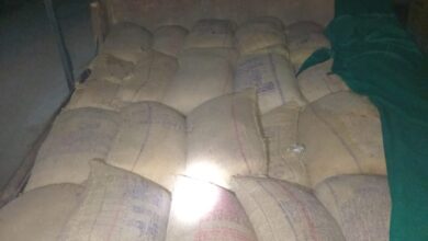 Photo of हाईवा की आड़ में धान की तस्करी, महासमुंद में अवैध परिवहन का नया खेल बेनकाब