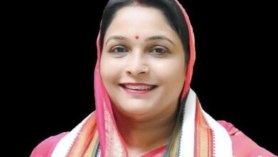 Photo of बिजली बिल हाफ योजना को लेकर साय सरकार जनता के साथ कर रहीं ठगी :- तारिणी चंद्राकर