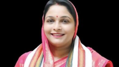 Photo of महात्मा गांधी कोई व्यक्ति नहीं एक विचारधारा है उसे कैसे मारोगे :- तारिणी चंद्राकर