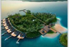 Photo of गंगरेल-ठेमली आईलैंड को विकसित करने प्रशासन प्रतिबद्ध : कलेक्टर  अबिनाश मिश्रा