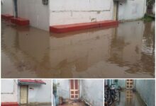 Photo of करोडों के पुलिया और बना आफत! सोरिद वार्ड के घरों के अंदर तक पहुँचा पानी!